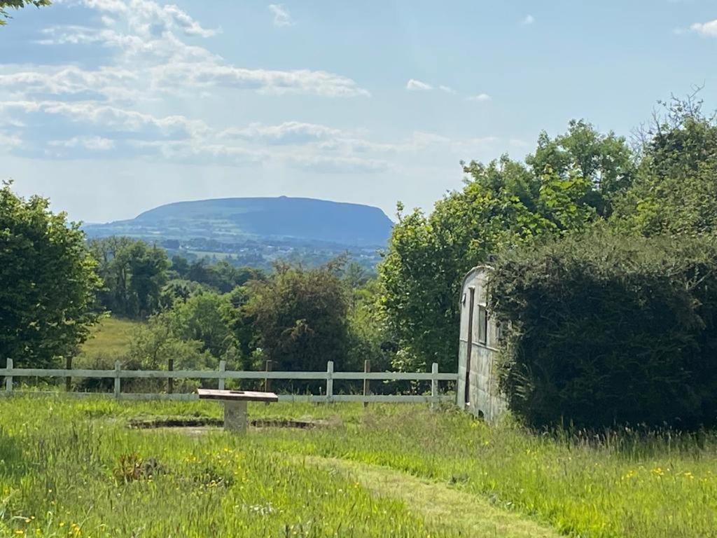 Clover Cottage Sligo Extérieur photo